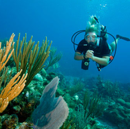 PADI - Reef conservation